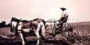two horses pulling a machine use to rake hay with a farmer riding on the rake two horses pulling a machine use to rake hay with a farmer riding on the rake