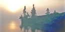 The morning sun burns through fog on the shoreline of Isle Royale. The morning sun burns through fog on the shoreline of Isle Royale.