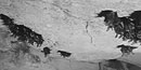 Bats on the cave ceiling/NPS file photo Bats on the cave ceiling/NPS file photo