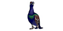 Cartoon grouse Cartoon grouse