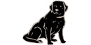 Black dog Black dog