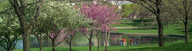 Lagoon on the Gateway Arch grounds in spring