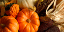 Thanksgiving Thanksgiving