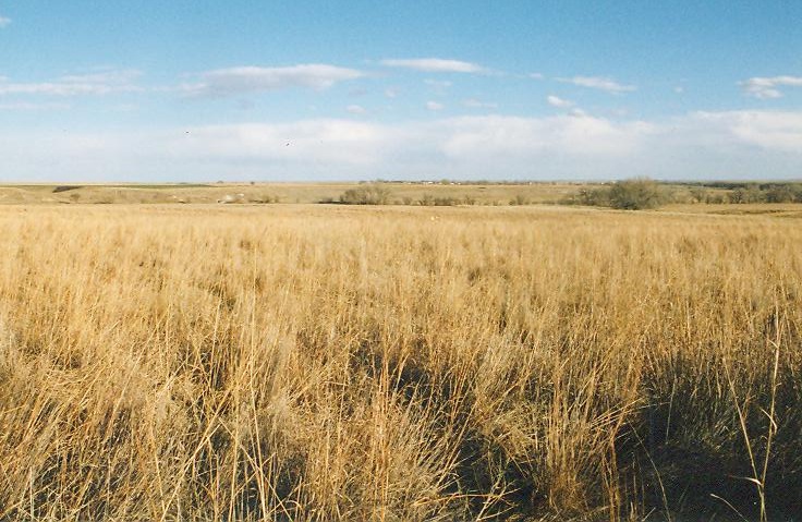 Nicodemus Prairieland Nicodemus Prairieland