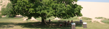 Dune Climb, Picnic under a tree