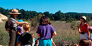 Field Trips Field Trips