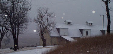 Winter at the preserve