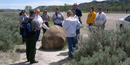Cannonball concretions Cannonball concretions
