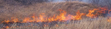 Fire at the Dunes