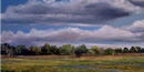 water color painting of a wetland water color painting of a wetland