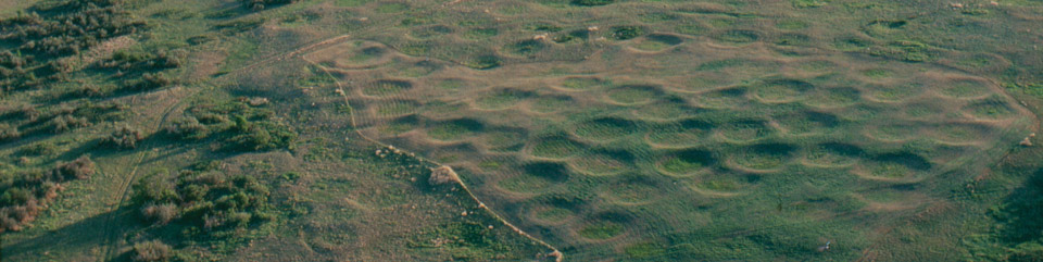 Aerial photograph of Big Hidatsa National Historic Landmark, located within Knife River Indian Villages National Historic Site. 