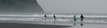 pacific ocean shoreline oregon