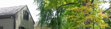 Arnold House, part of the Lincoln neighborhood