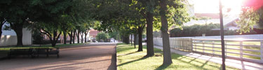 Afternoon light at Lincoln Home