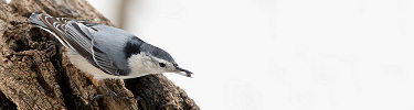 winter_small_10