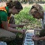 Volunteer with us!