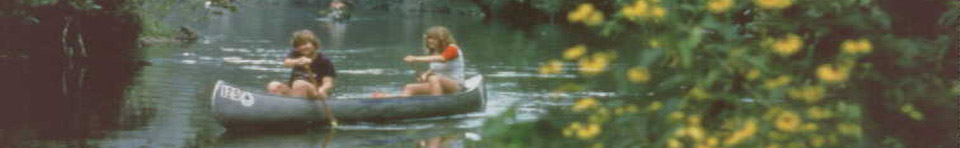 Young people floating past yellow flowers