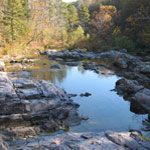 Pretty creek scene.
