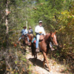 Horseback riding.