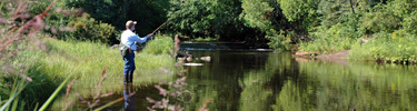 Fishing on the Miners River