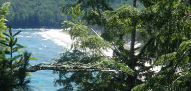 Miners Beach as viewed through the trees at the Miners Castle overlook.