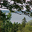 Hiawatha National Forest