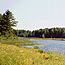 Michigan State Forests