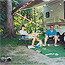 Many Michigan State Parks
