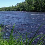 Riffles on the water bordered by grass and trees