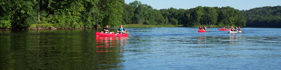 Canoeists paddle by tree lined shores