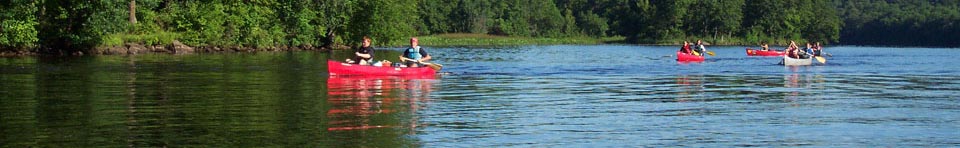Canoeists paddle by tree lined shores