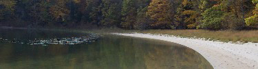 Bass Lake Shoreline