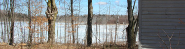 North Unity School
