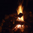 Firewood