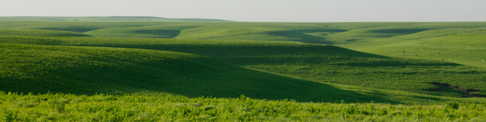 The setting sun over the Flint Hills casts shadows across the wide expanse of tallgrass prairie.