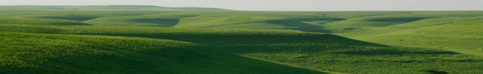 The setting sun over the Flint Hills casts shadows across the wide expanse of tallgrass prairie.
