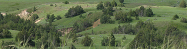 Boicourt Overlook Scenery Detail