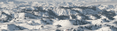 Badlands Winter