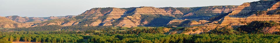 Theodore Roosevelt National Park