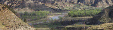 Little Missouri Spring