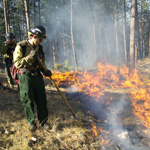 Fire fighters on prescribed burn in park