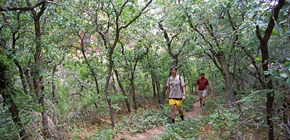 Hikers in White Canyon