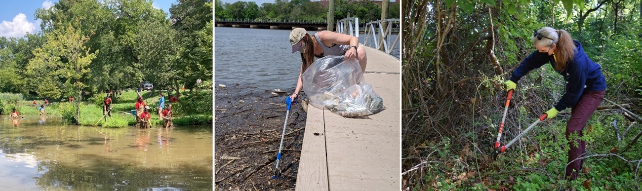Volunteers removing litter and invasive species.