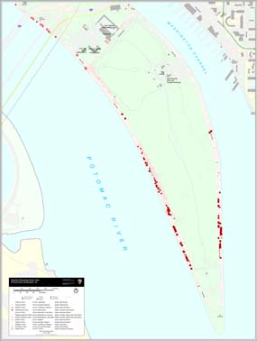 East Potomac Park Cherry Tree Location Map