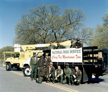 National Mall and Memorial Parks Tree Crew