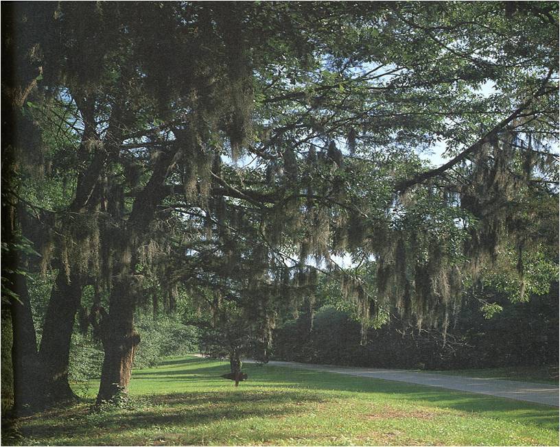 the Natchez Trace Parkway. natchez trace parkway map. the Natchez Trace Parkway.