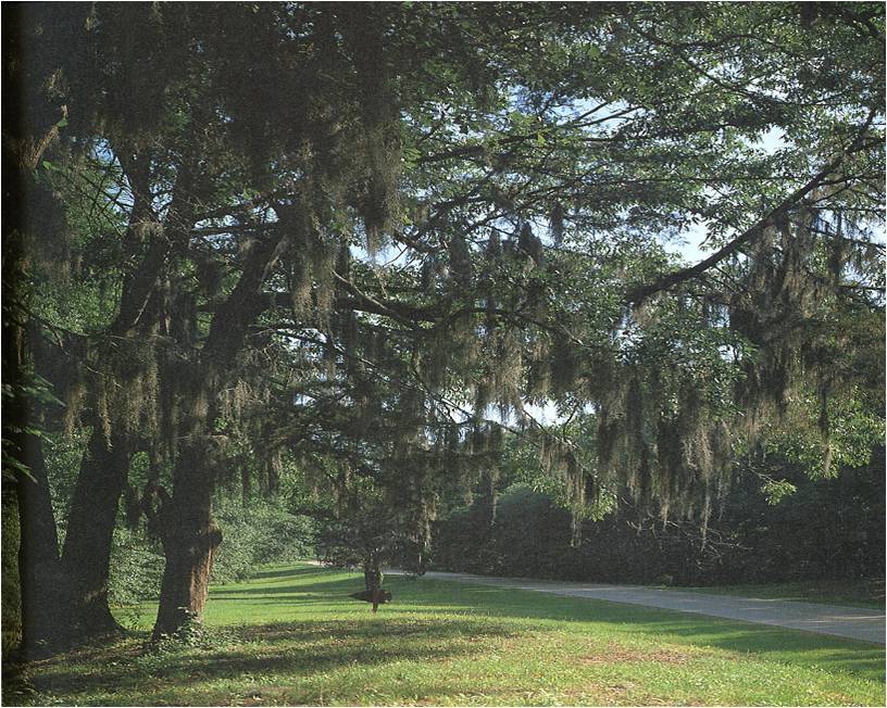 natchez trace parkway map. the Natchez Trace Parkway.