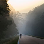 Image by Marc Muench-Bicyclist on the Parkway.