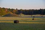 Pharr Mounds, milepost 286, Mississippi