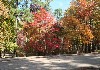 Fall colors along the parkway.